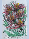 Load image into Gallery viewer, June Flower Series: Painted Pages Honeysuckle