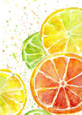 Load image into Gallery viewer, Fruit Study 2 Grapefruit and Lemon Beginners Watercolor Class