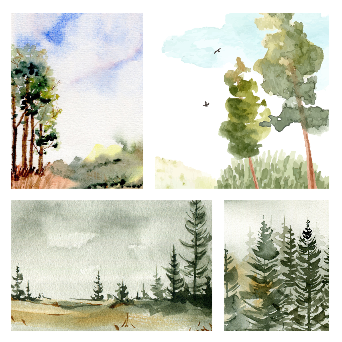 218 Days Watercolor Trees Beginner's Class