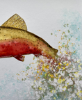 Load image into Gallery viewer, Colorado Cutthroat Trout 8 x 10 Print
