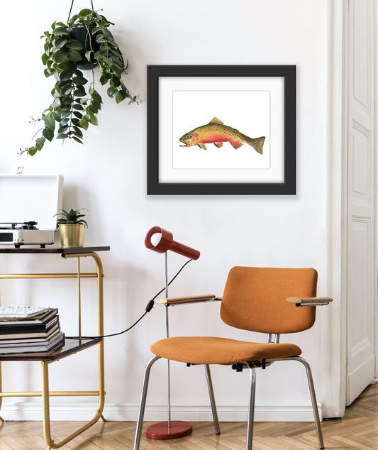 Cutthroat Trout 8” x 10” Print