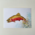 Load image into Gallery viewer, Colorado Cutthroat Trout 5 x 7 Print
