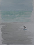 Load image into Gallery viewer, Back to the Beach Beginners Watercolor Class at Island Lake Inn
