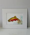 Load image into Gallery viewer, Colorado Cutthroat Trout 5 x 7 Print
