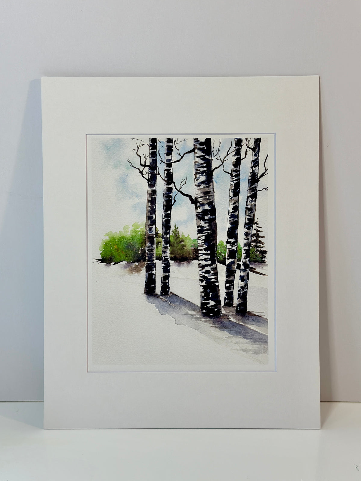 Birch Shadows