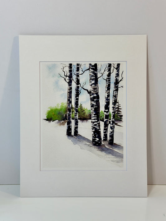 Birch Shadows