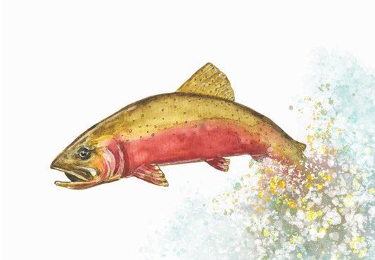 Cutthroat Trout Greeting Card