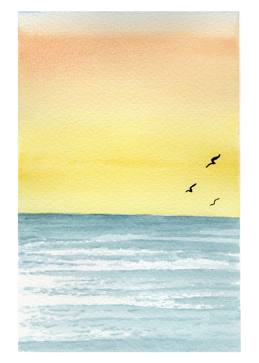 Beach Study Sunrise