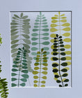 Load image into Gallery viewer, Fern Study III
