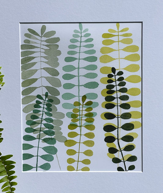 Fern Study III