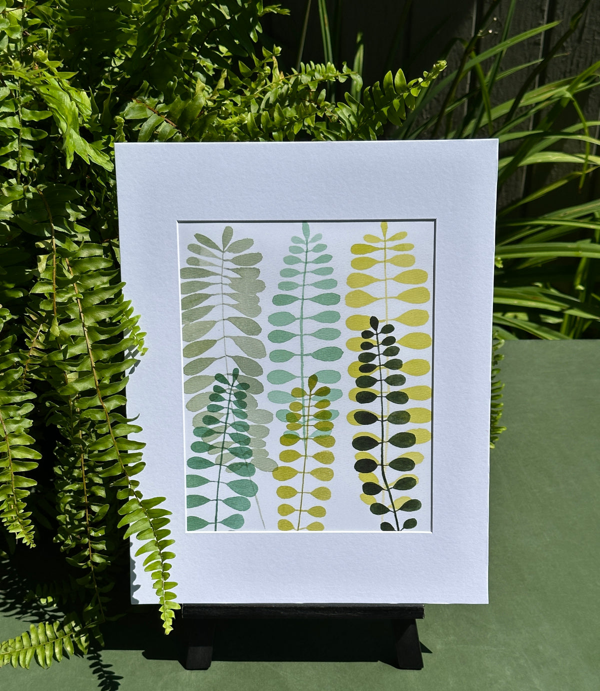 Fern Study III