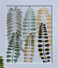 Load image into Gallery viewer, Fern Study II
