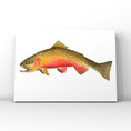 Load image into Gallery viewer, Cutthroat Trout 8” x 10” Print

