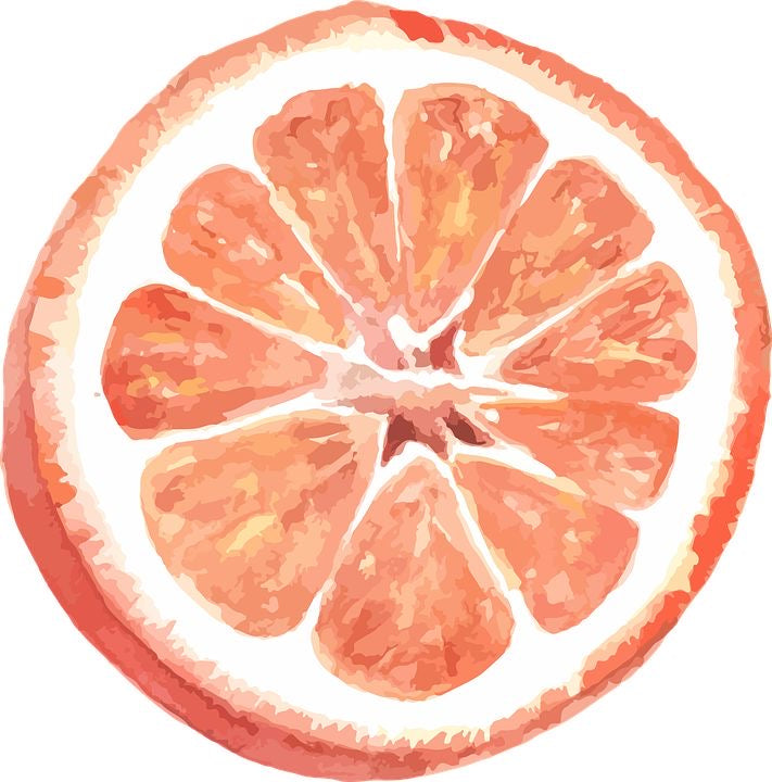 Fruit Study 2 Grapefruit and Lemon Beginners Watercolor Class