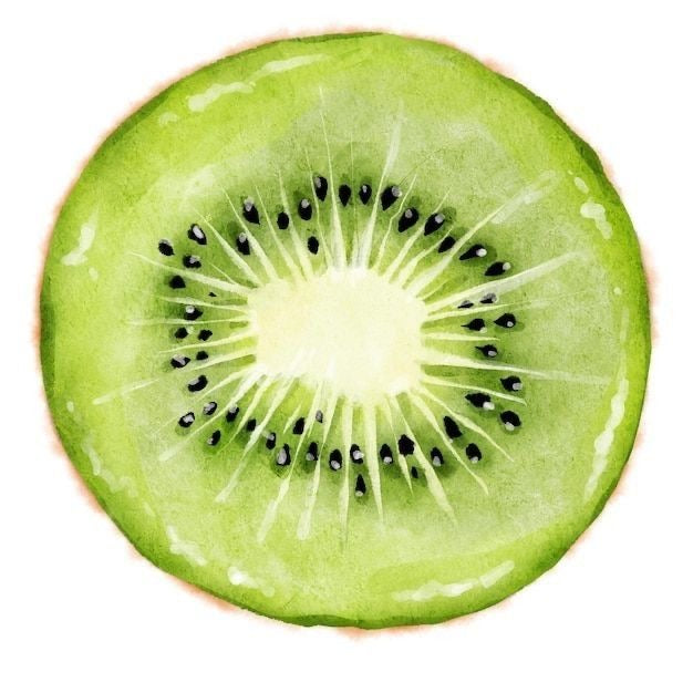 Fruit Study 1 Watermelon and Kiwi Beginners Watercolor Class