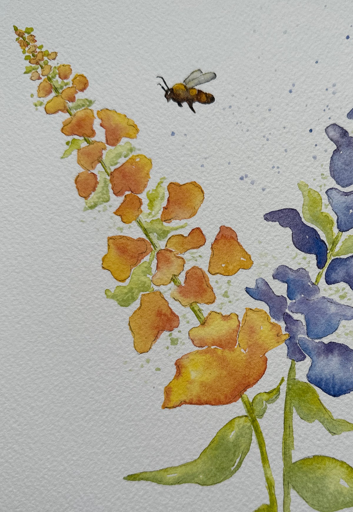 Honey Bee and Snapdragons