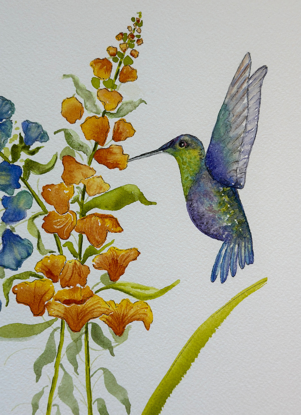 Hummingbird and Snapdragons