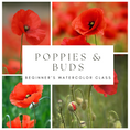 Load image into Gallery viewer, Poppies & Buds Beginner's Watercolor Class at Island Lake Inn

